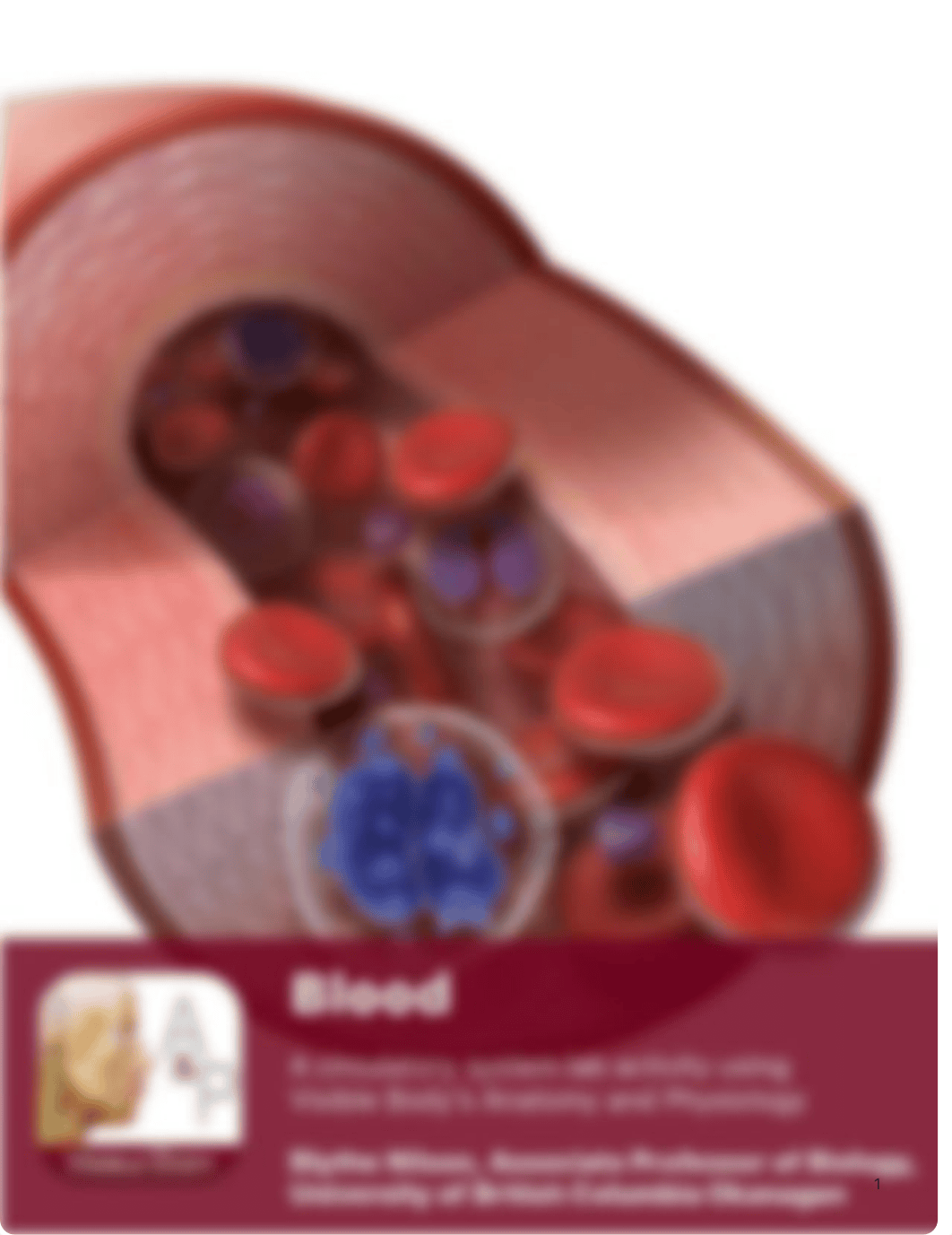 Blood VB PDF - Answer Key.pdf_dxgqvjoubie_page1