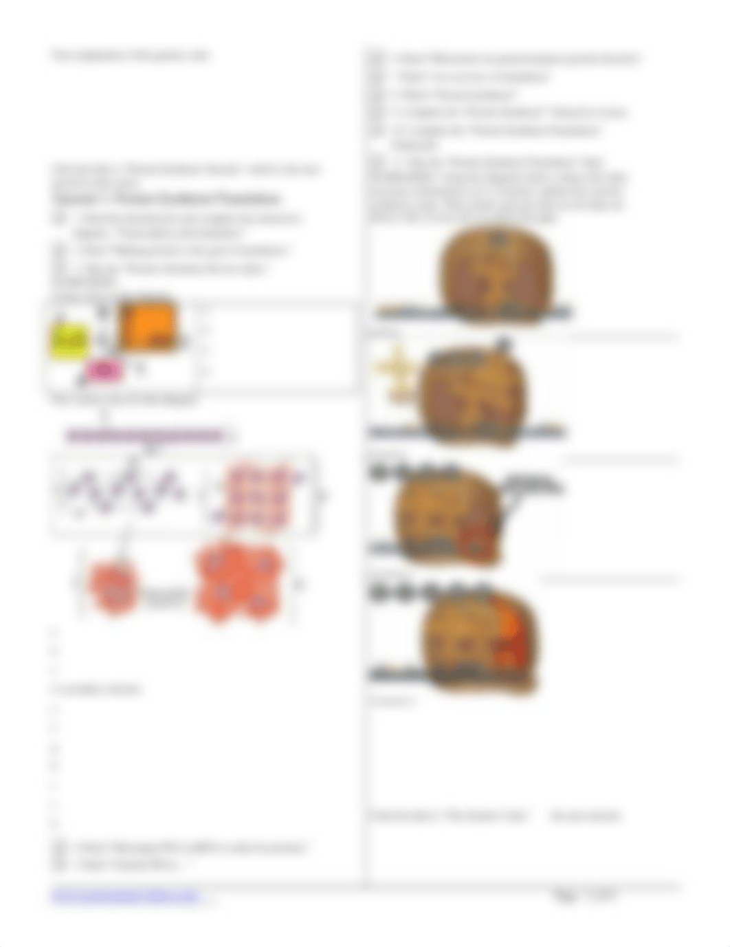 SLG TOPIC 6.3-6.4_ transcription, translation, student learning guide, SMV (2020).docx_dxgtcqt5wyc_page2