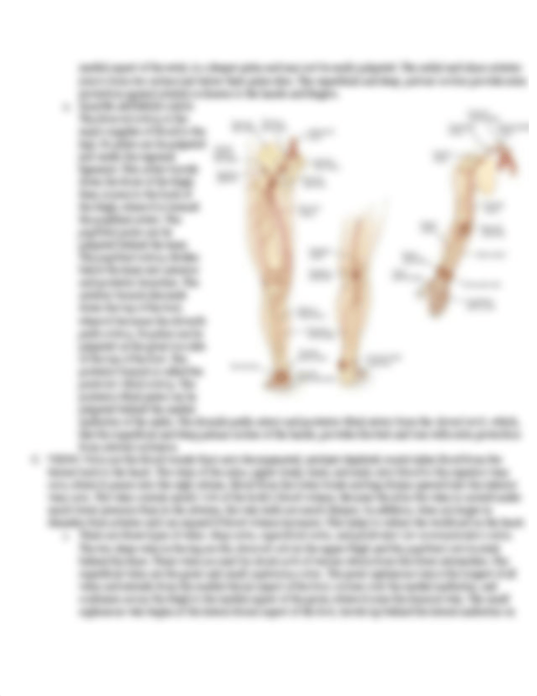 3061 Exam 2 Peripheral Vascular System and Lymphatic System.pdf_dxguy4hxl7v_page2