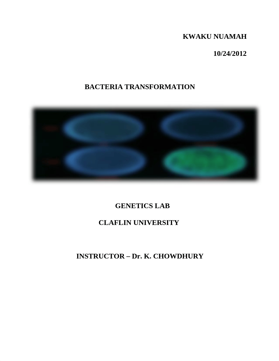 Bacteria Transformation Lab Report_dxgvbo86gk5_page1