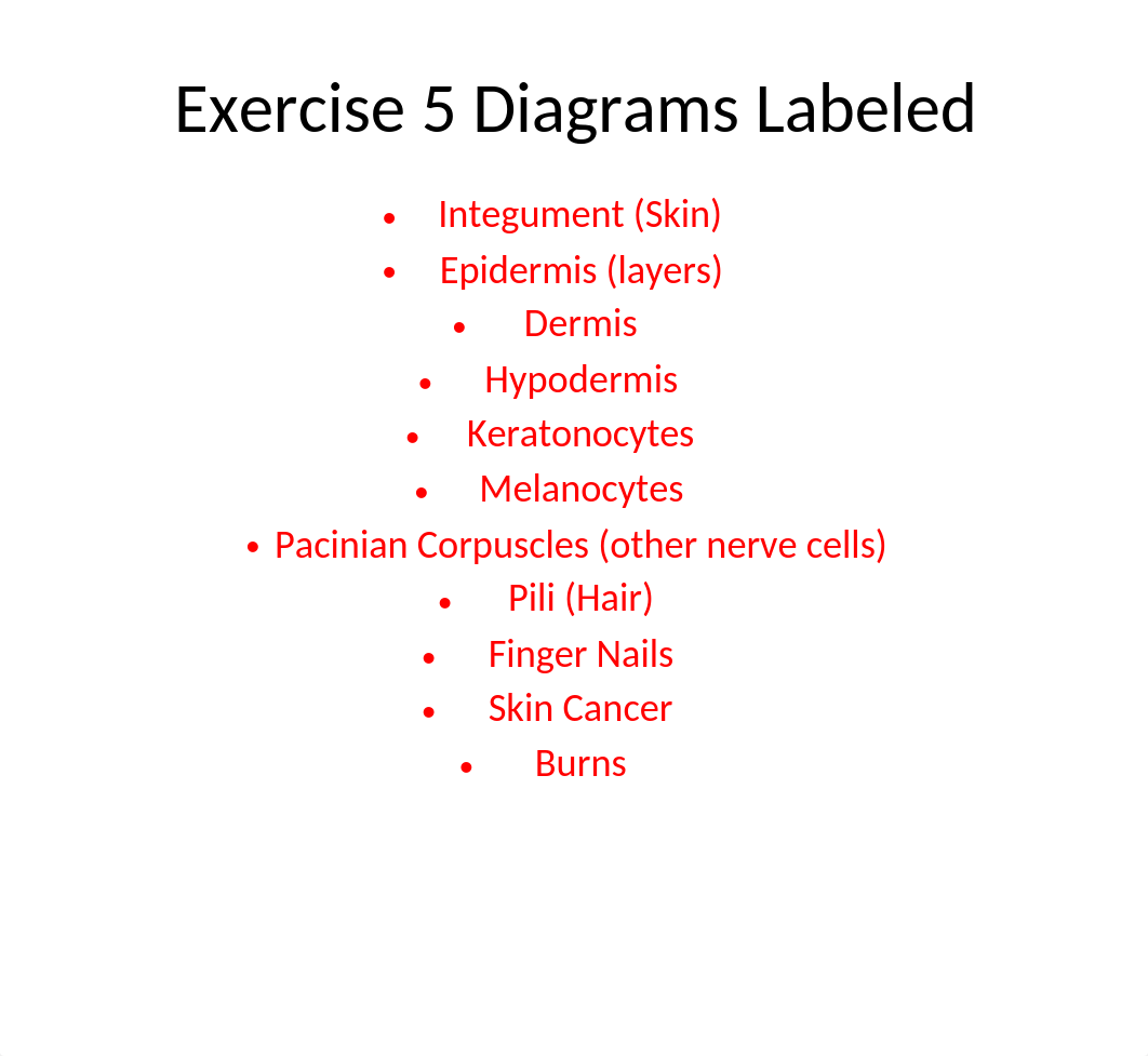 Exercise 5 Diagrams Labeled Skin System.pptx_dxgyjmikag3_page1