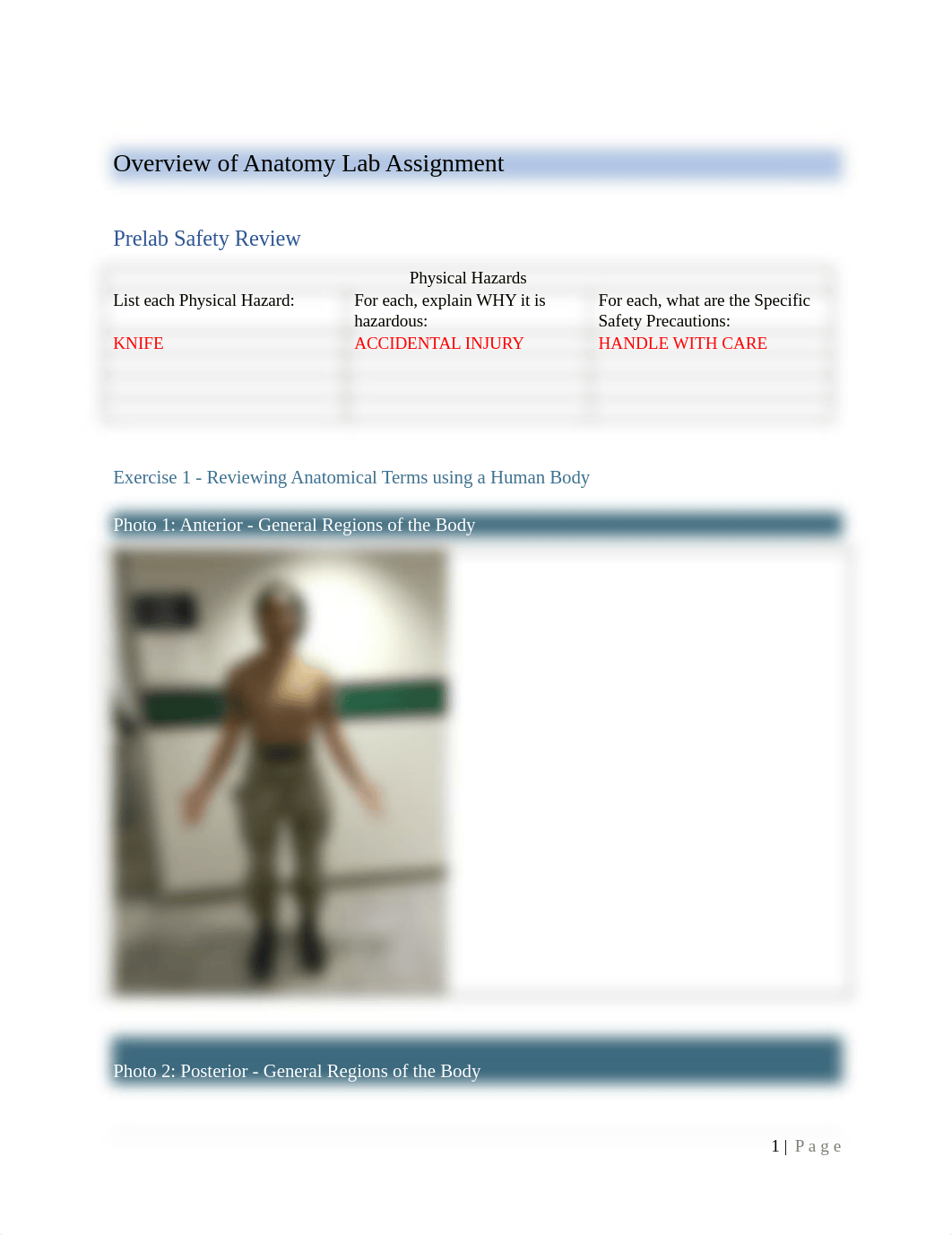 LA7-Overview of Anatomy Lab Assignment (3).docx_dxh0ns80j8y_page1