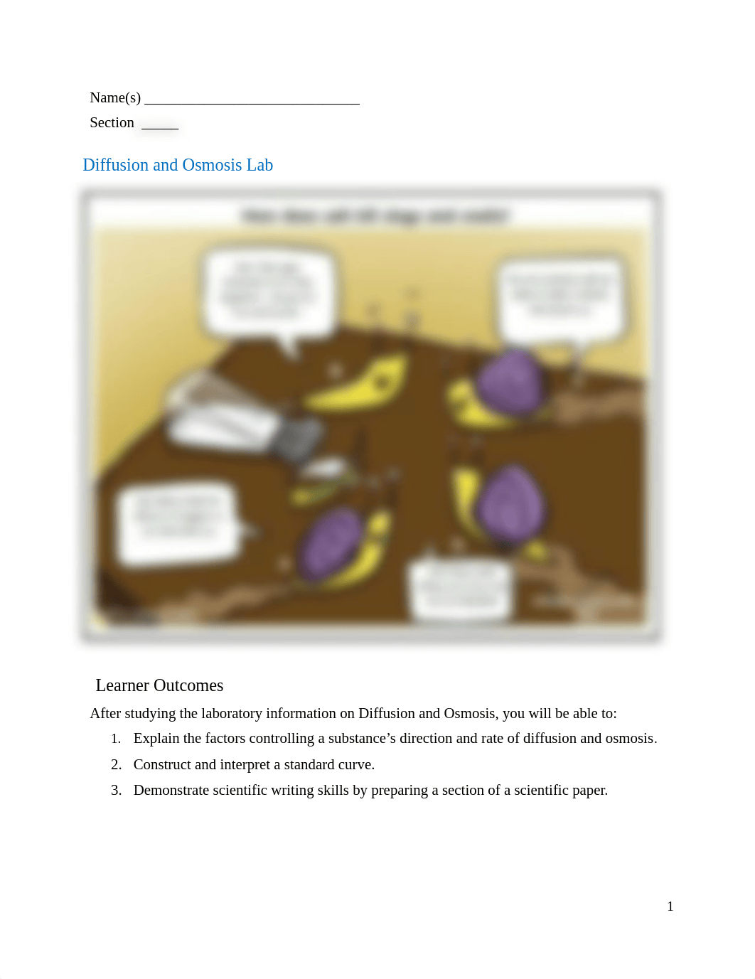 Osmosis & Diffusion handout Fall 2020 (2).docx_dxhapkkgraf_page1