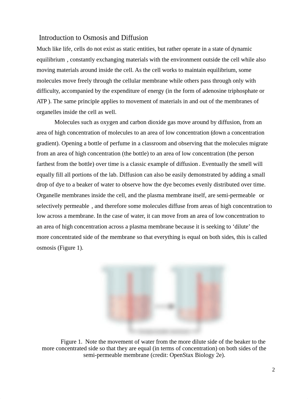 Osmosis & Diffusion handout Fall 2020 (2).docx_dxhapkkgraf_page2