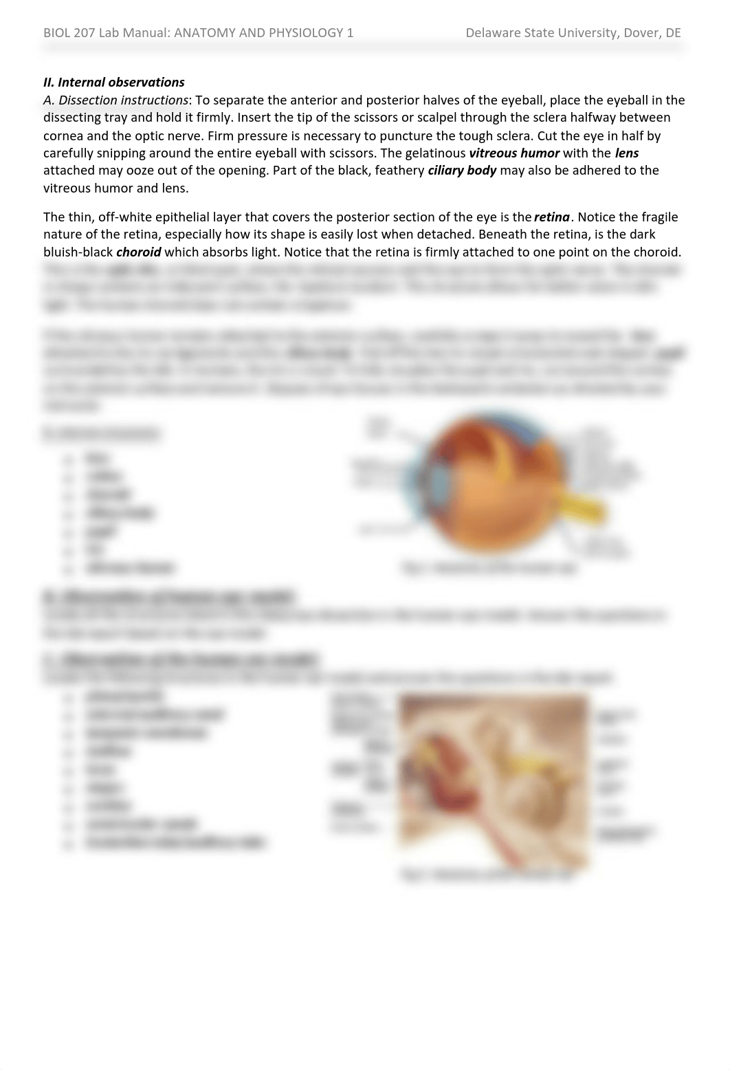 A and P I Lab exercise 12 - Nervous System - The Senses.pdf_dxhc99pl6dk_page2