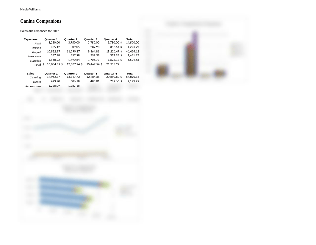 EX 4-Canine Companions Expense Analysis.xlsx_dxhhfss25rb_page1