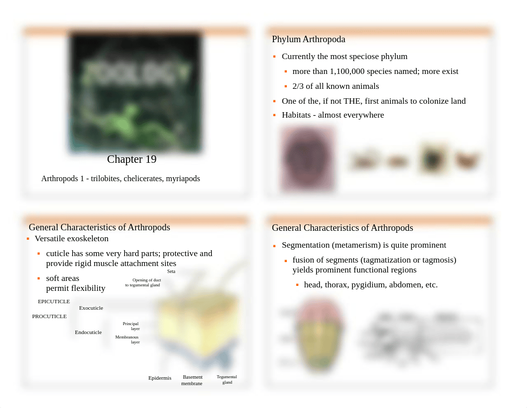 Chapter 19 Trilobites chelicerates and myriapods 2017_dxhn53zsa8p_page1