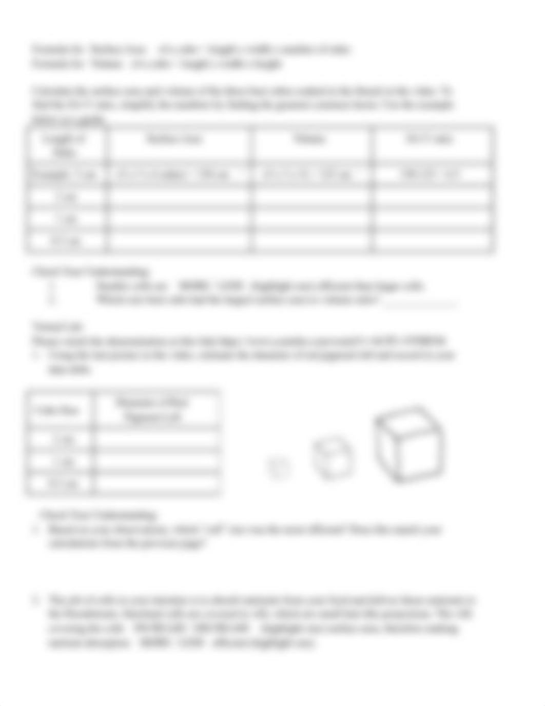 Virtual Surface to Volume Ratio Lab-1.docx_dxhuu0pkwa2_page2