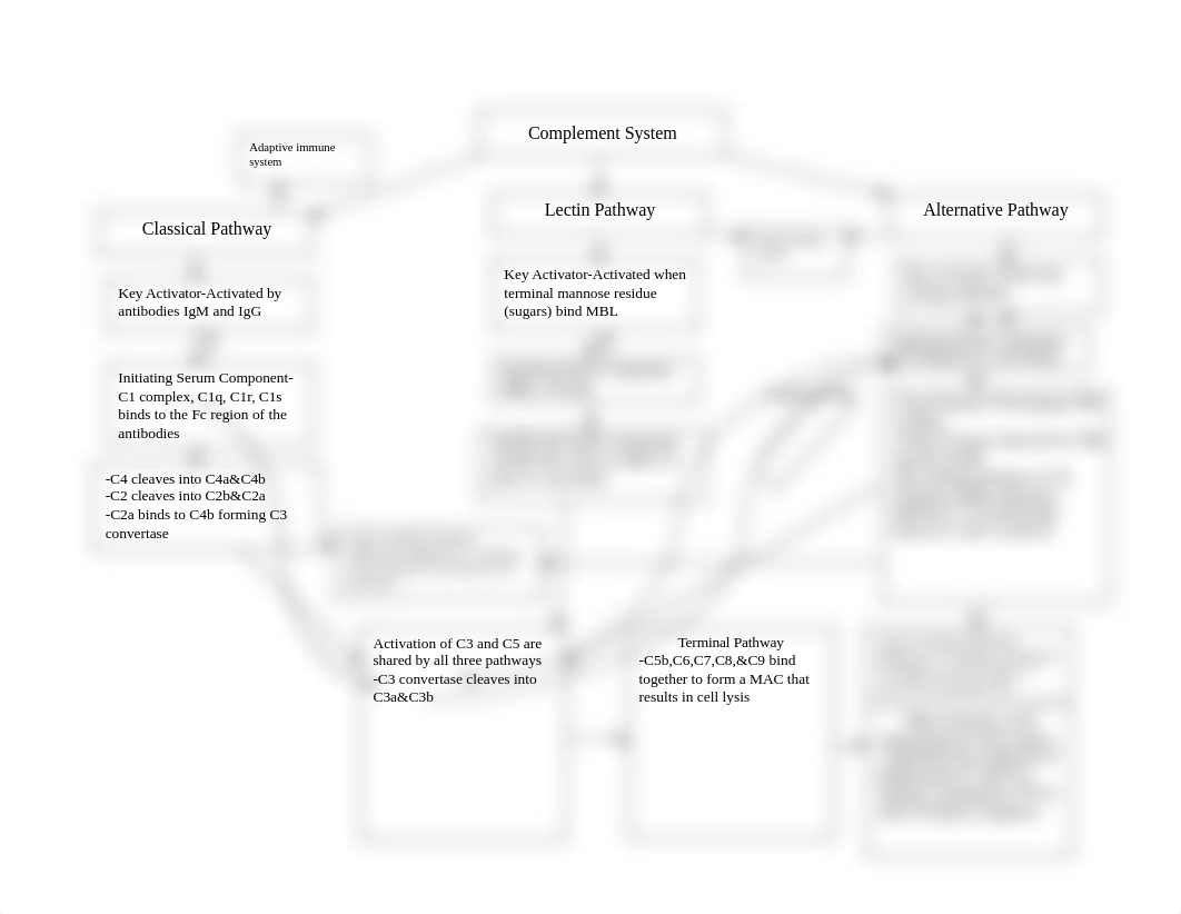 Complement pathway1.docx_dxhzfk2ycym_page1