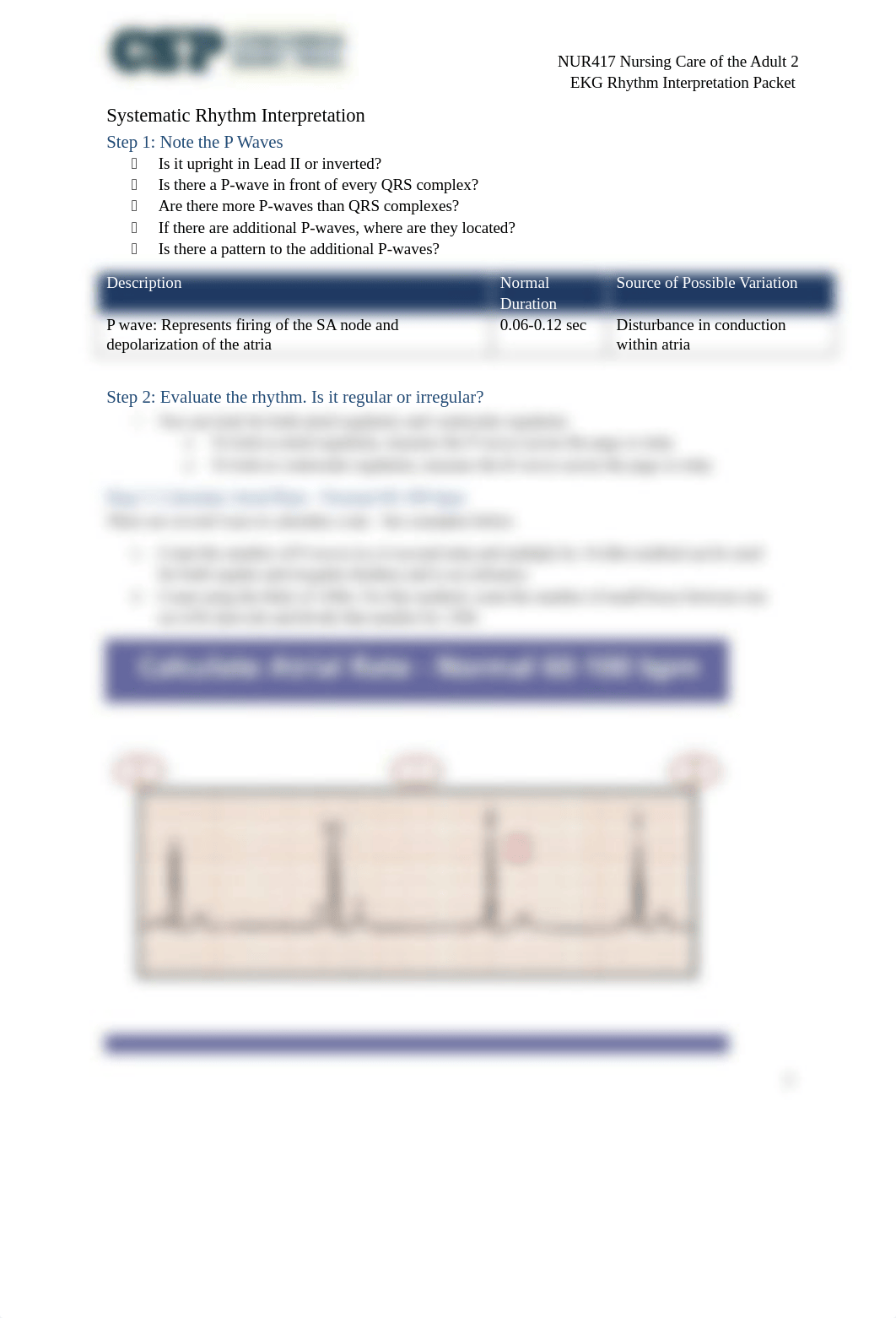 NUR417 EKG Rhythm Interpretation Packet (1).docx_dxi1xni00kv_page3