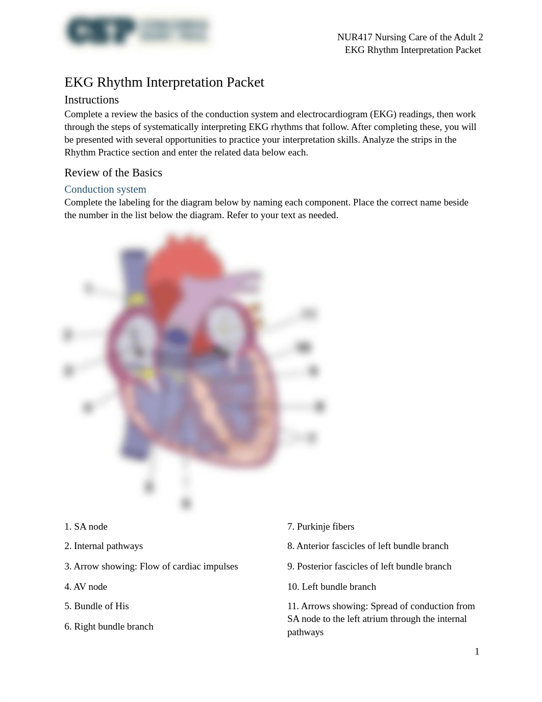 NUR417 EKG Rhythm Interpretation Packet (1).docx_dxi1xni00kv_page1