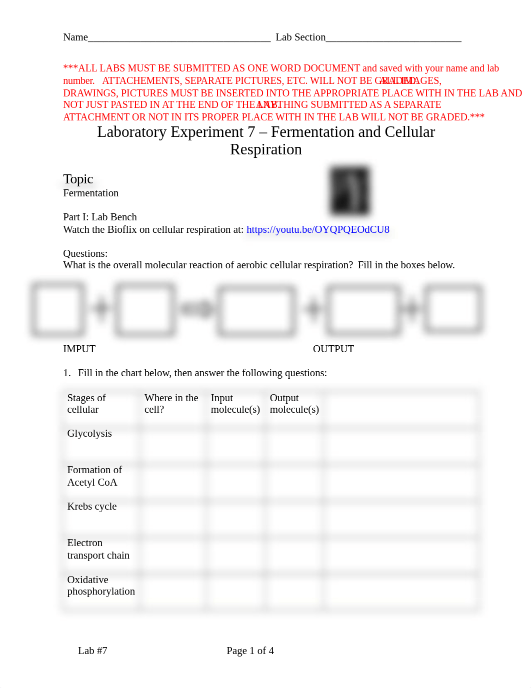 Lab 7 Report.docx_dxiaeo1y0om_page1