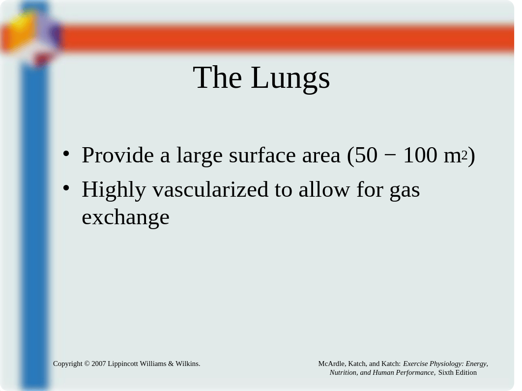 Chapter12 Pulmonary Structure and Function.ppt_dxiilzqqpwg_page4