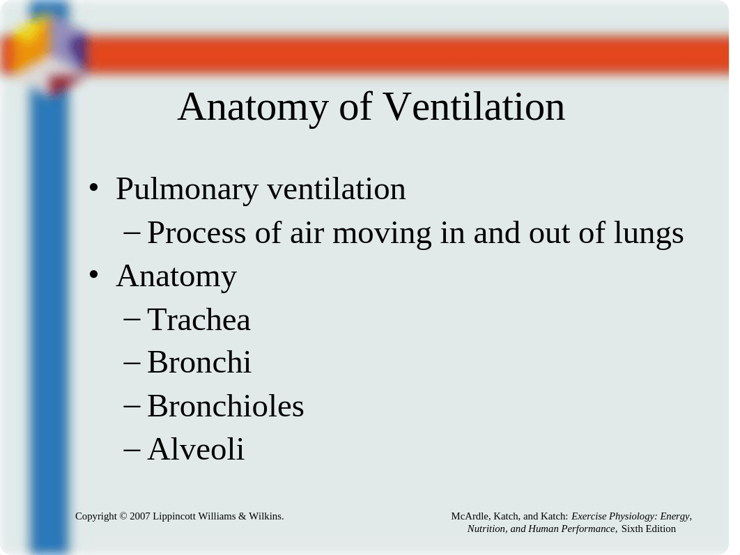 Chapter12 Pulmonary Structure and Function.ppt_dxiilzqqpwg_page2