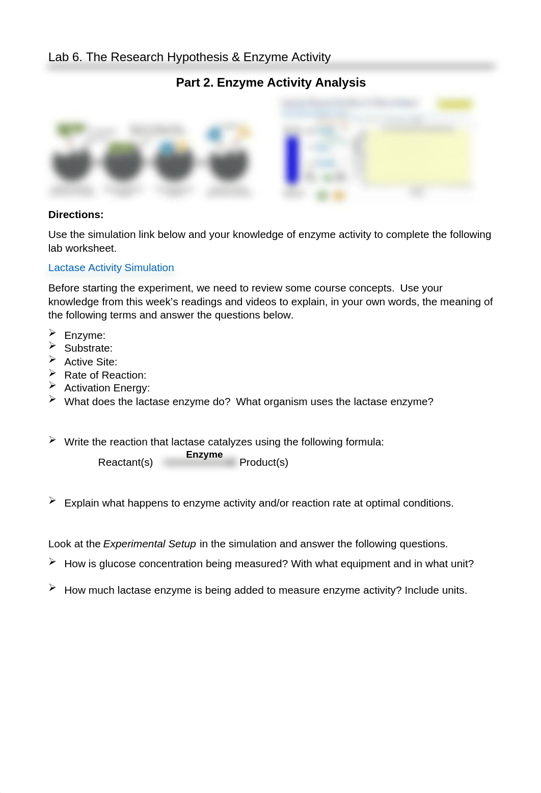 Lab 6. Research Hypothesis & Enzyme Activity Part 2(1).docx_dximw7t7fhd_page1