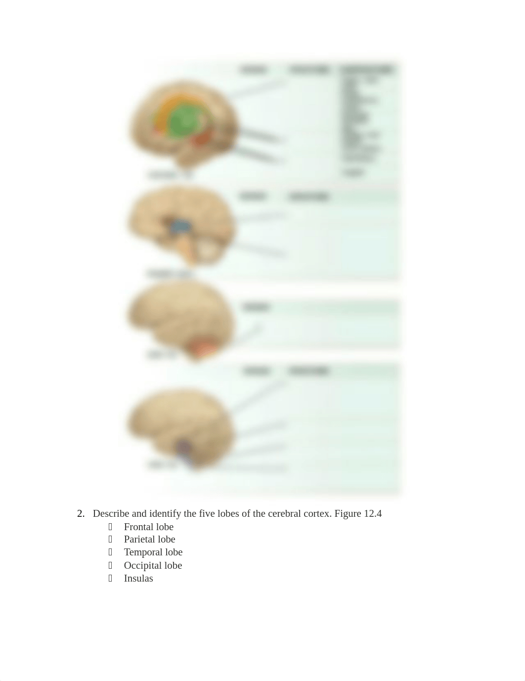 Exam 3 study guide.docx_dxin8ogr7vk_page5