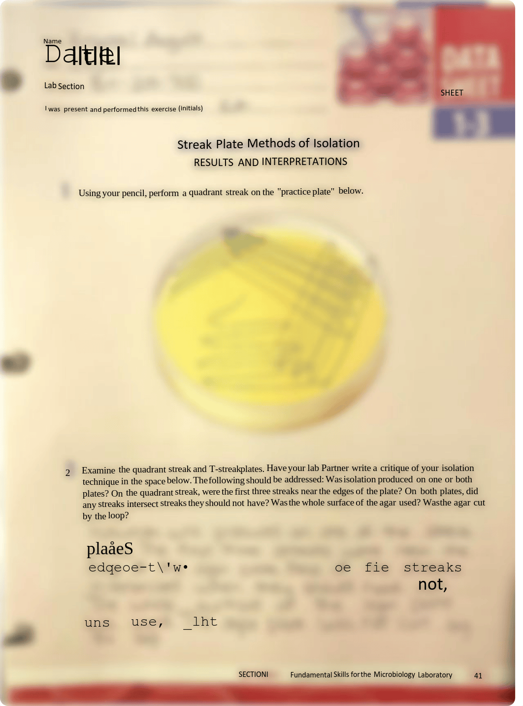 Angulo, Krystal Lab Exercise 1-3.pdf_dxinar0afra_page1