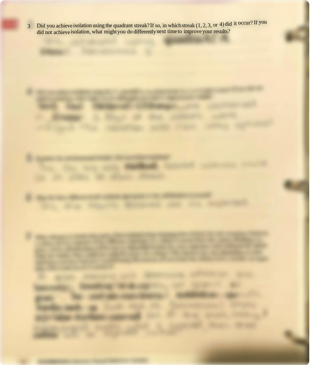 Angulo, Krystal Lab Exercise 1-3.pdf_dxinar0afra_page3