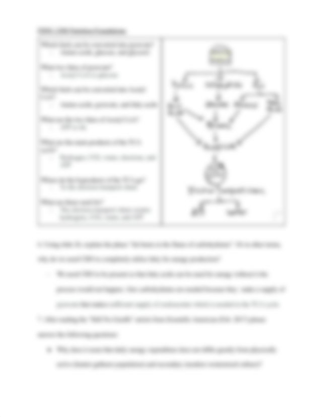 Metabolism Summary (1).pdf_dxiphldrnu5_page3