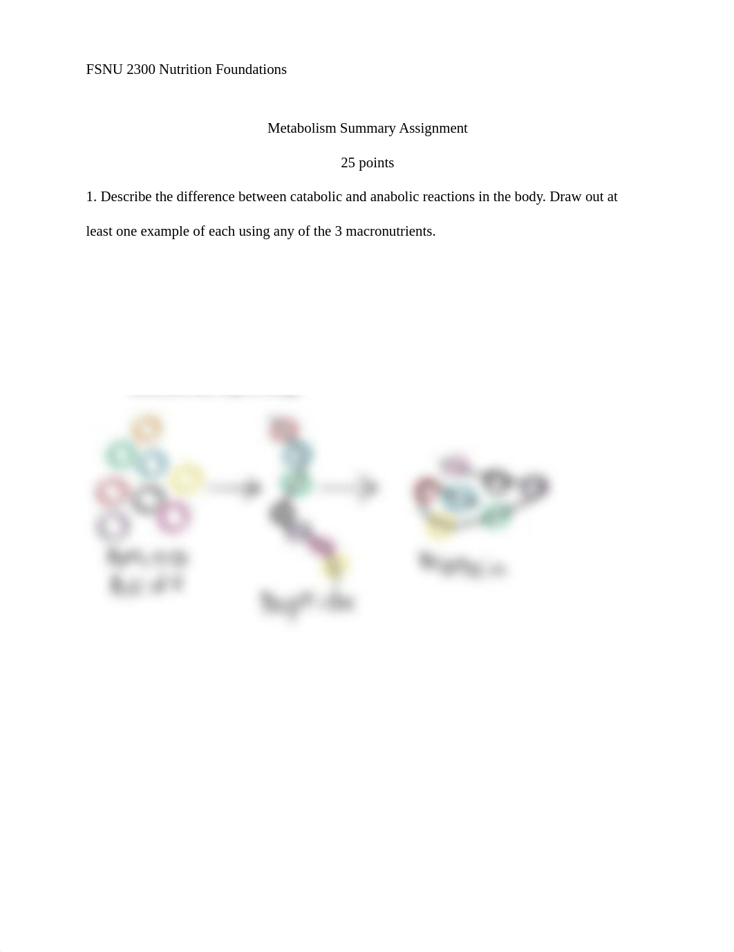 Metabolism Summary (1).pdf_dxiphldrnu5_page1