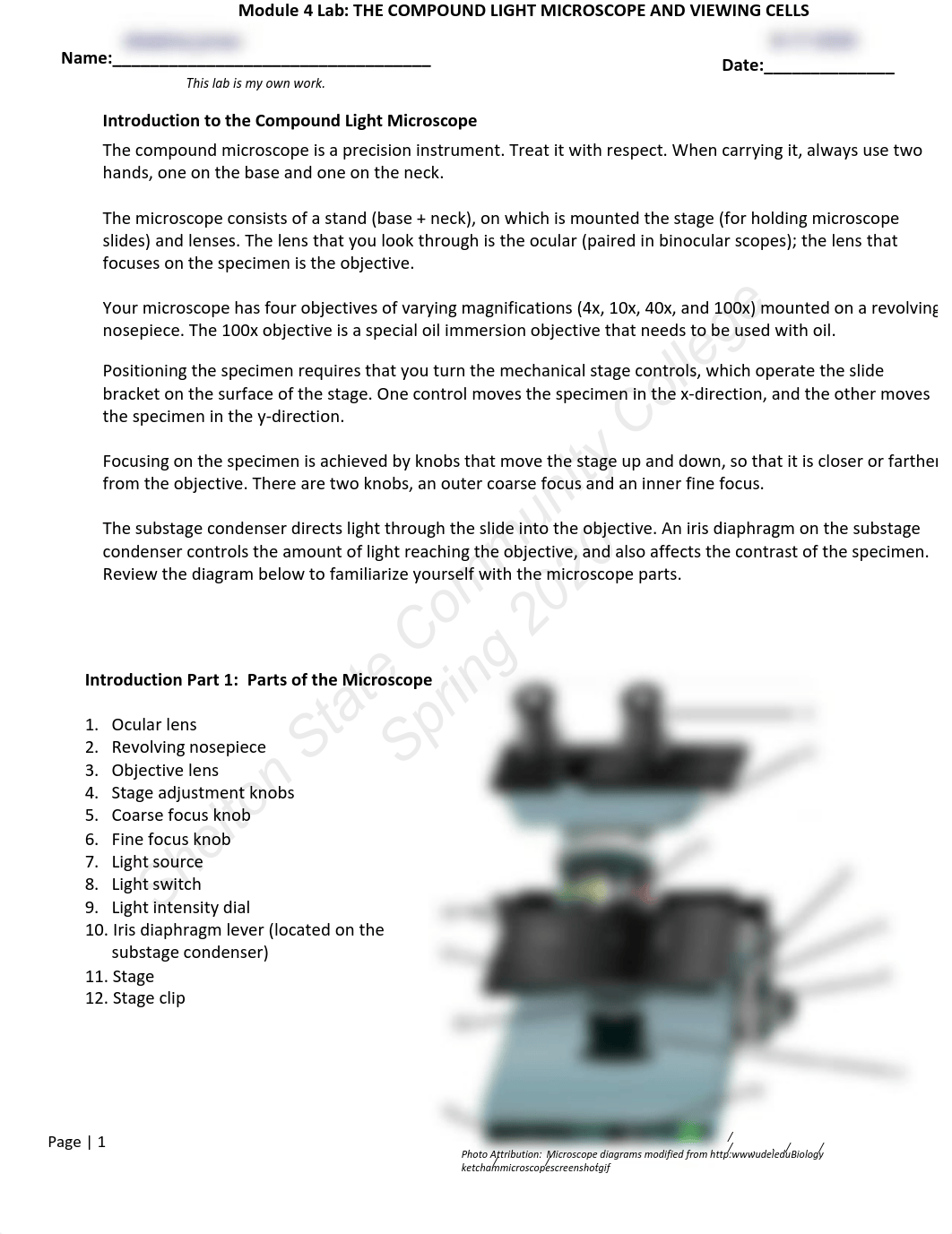 Lab Ex 3-The Light Microscope-2.pdf_dxiz5187wy7_page1