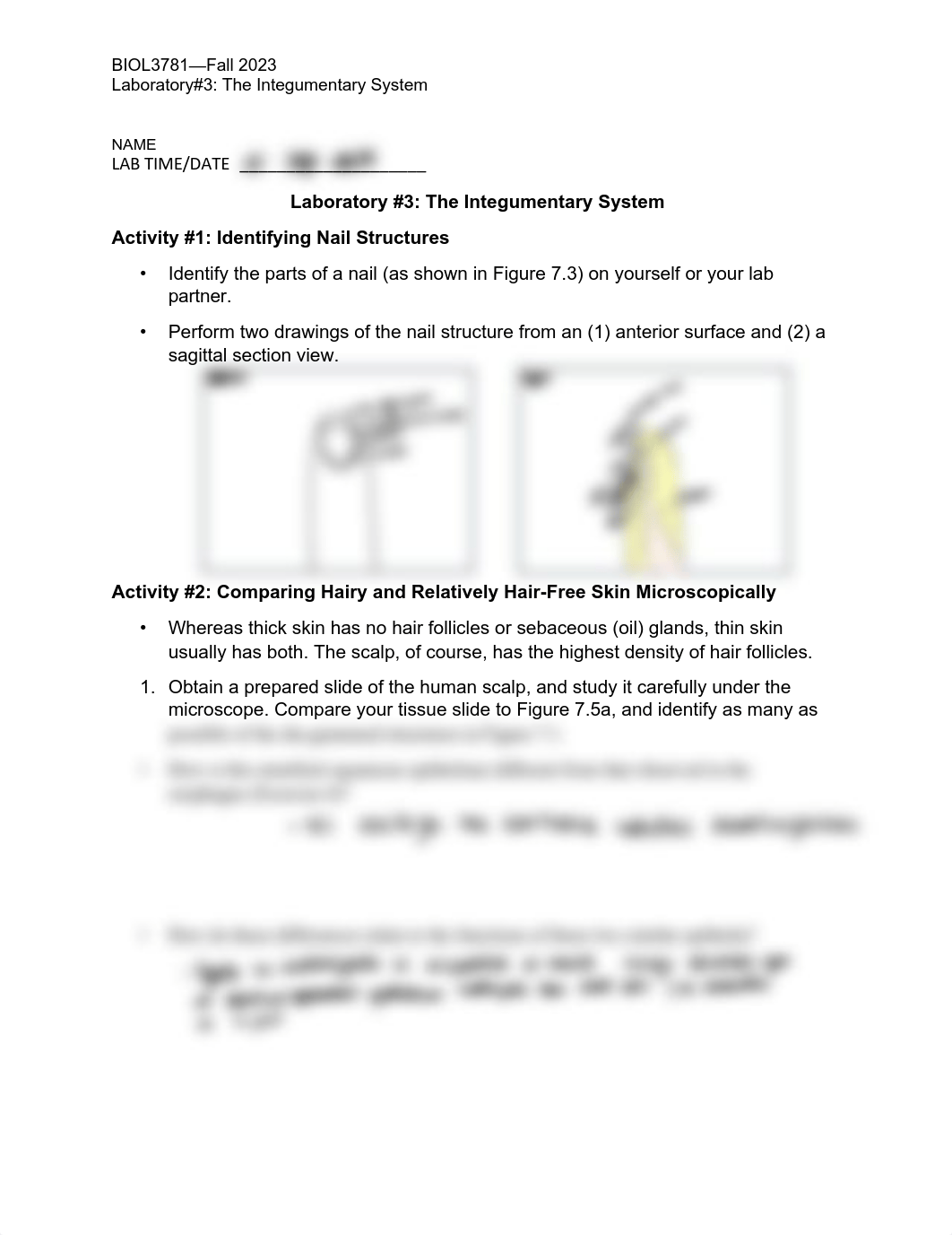 Laboratory #3 The Integumentary System.pdf_dxj2onbi6b4_page1