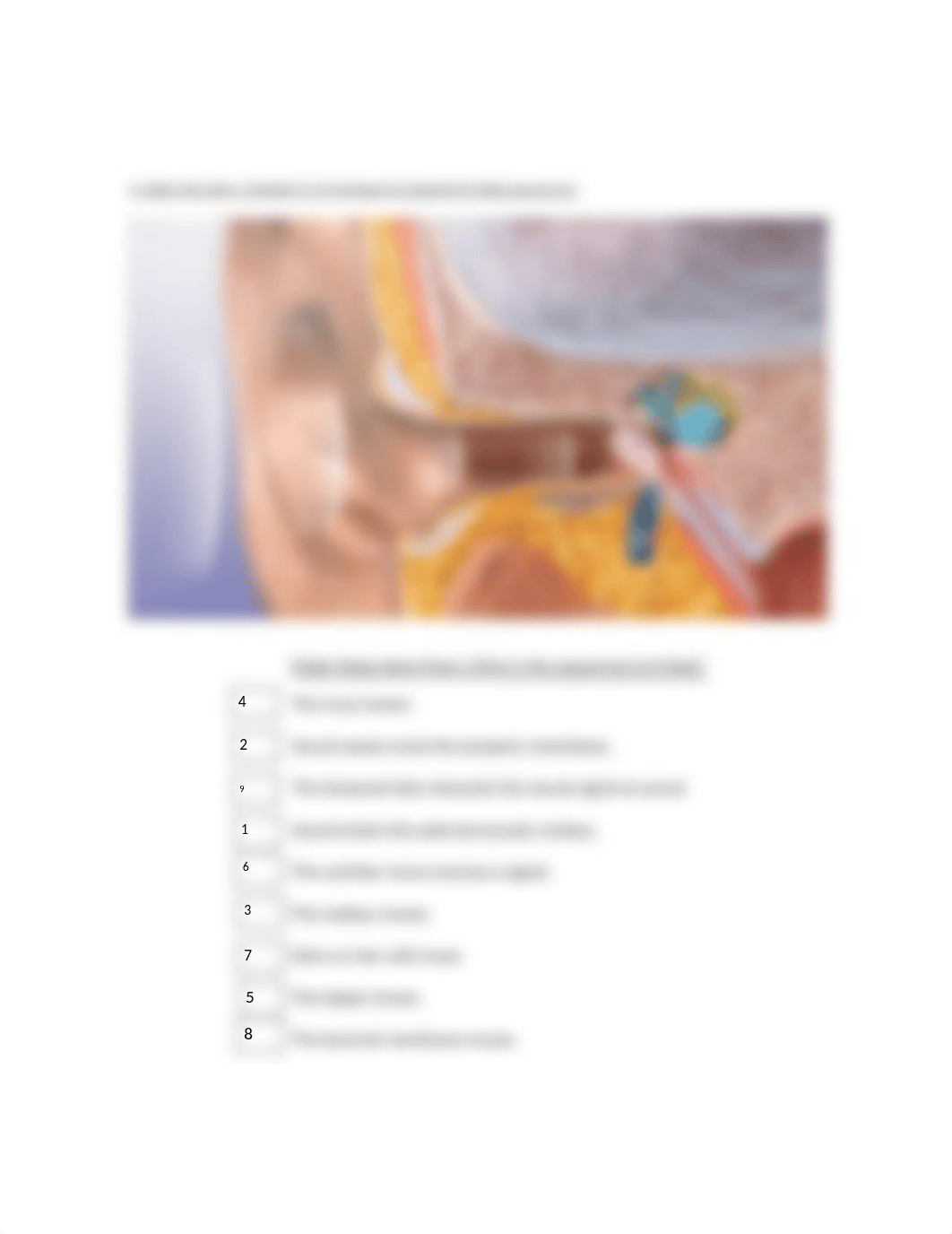 Lab Eye Ear Tongue bio 107 .pdf_dxj8r63c4ok_page2