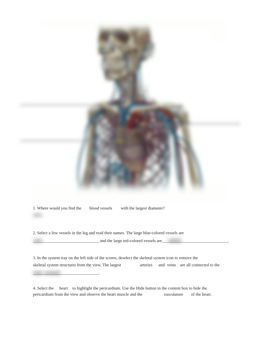 Lab_Activity_-_Blood_Vessels_I.pdf_dxjnccvbrdc_page3