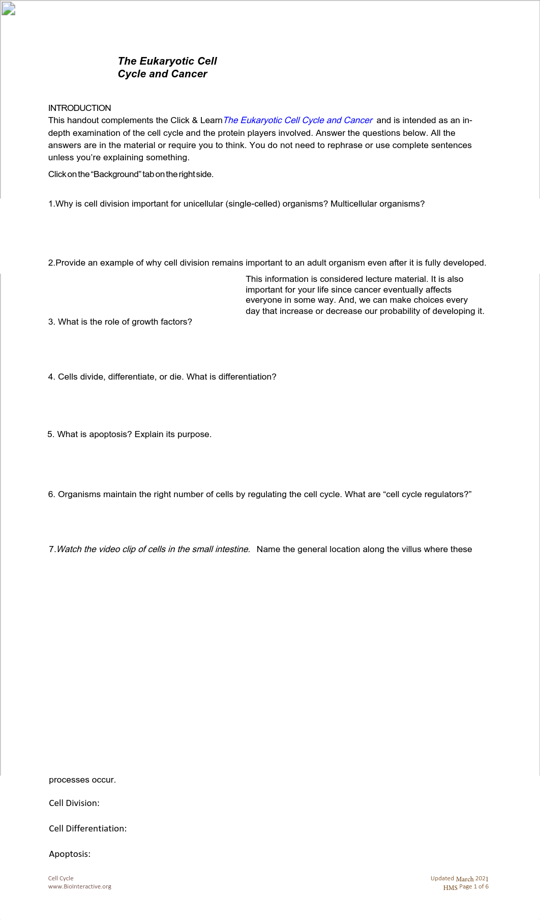 CellCycleInDepth_StudentWS_CL_online_2.pdf_dxjpek84q46_page1