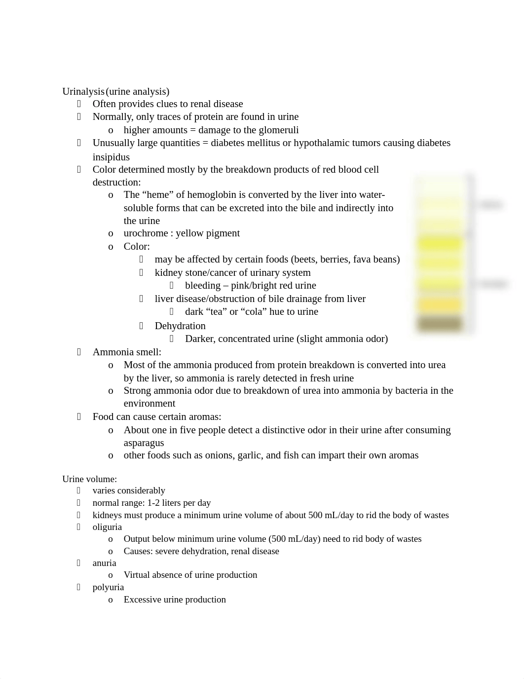 Chapter 25. The Urinary System.docx_dxjv08r88ci_page2