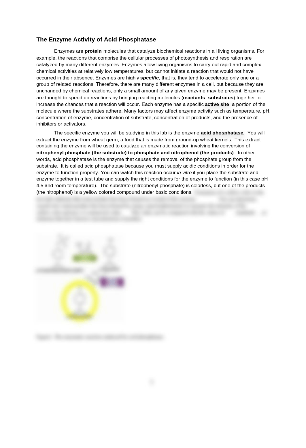 Acid Phosphatase Fall 2013_dxk1fdoxexl_page1