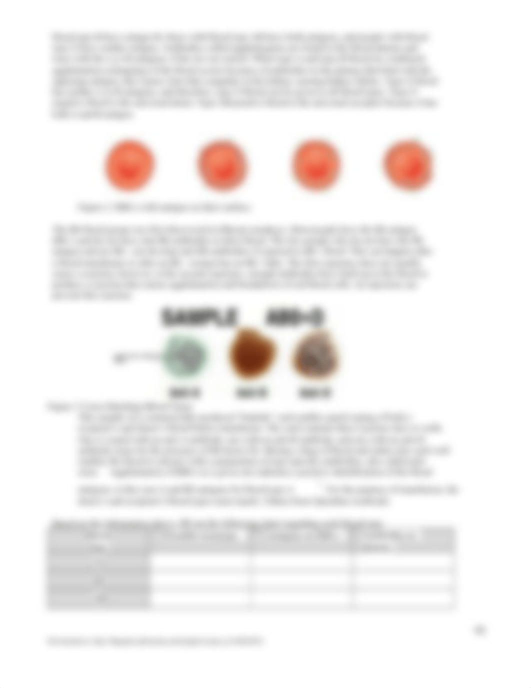 10_BIOL_260_FA19_Lab_-_Lab_10_BLOOD_TYPING_AND_Rh_FACTOR_(Edit).docx_dxk207qugex_page3