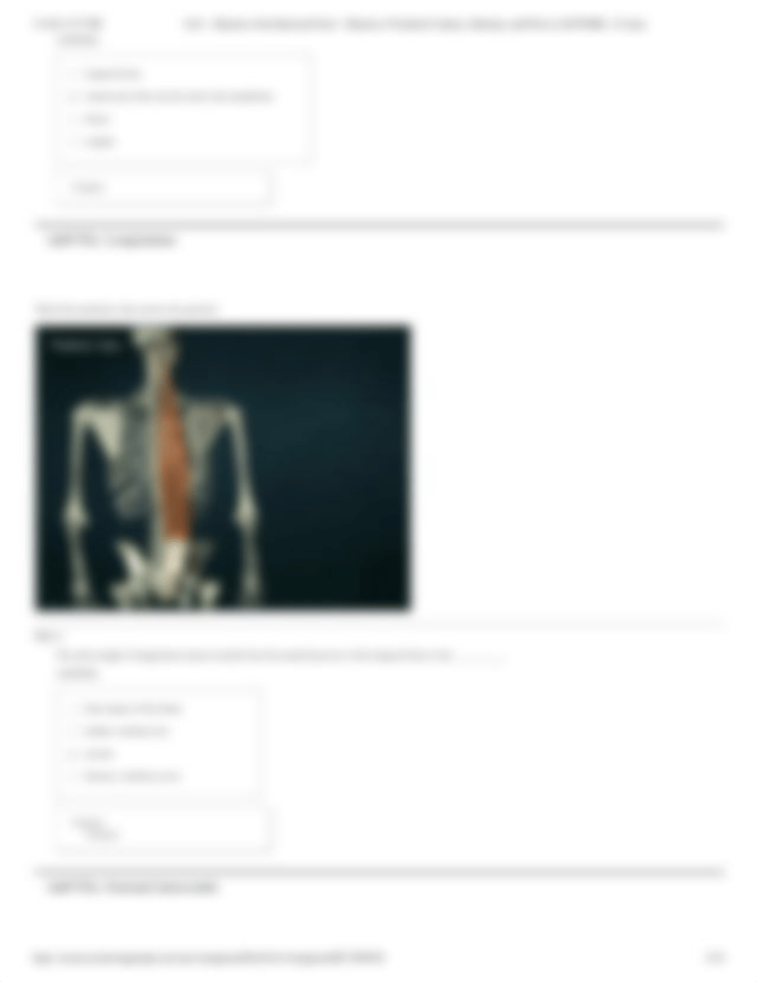 Ch11 - Muscles of the Head and Neck LAB WORK _25 mins.pdf_dxkmnt2qn0k_page4