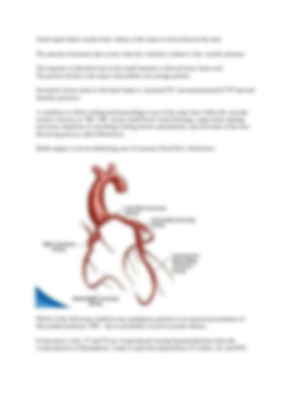 Hemecardiolymph.docx_dxktczcjw4q_page2