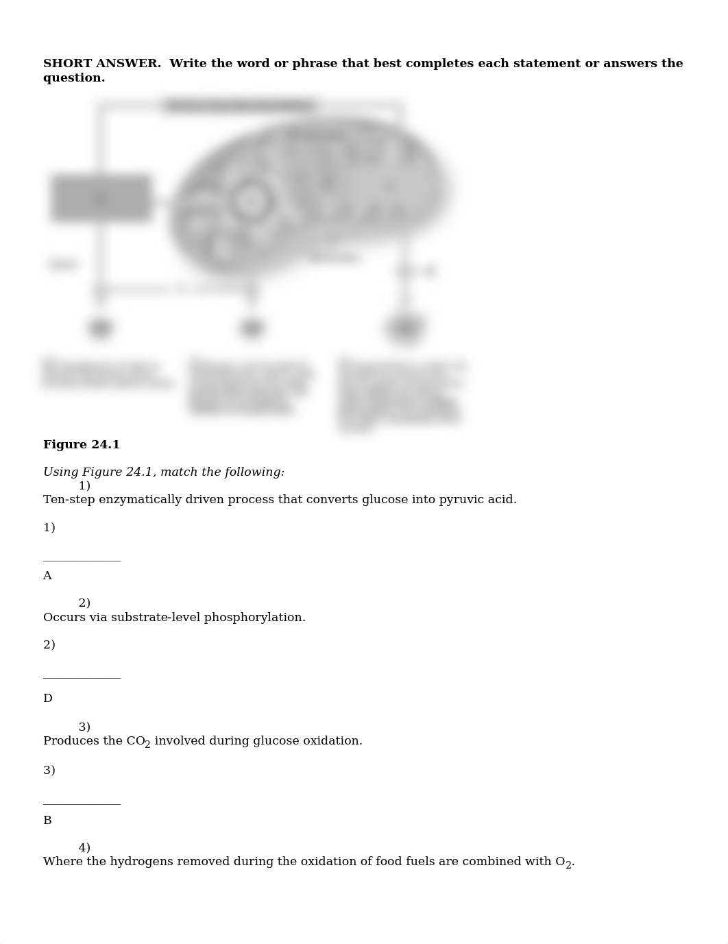 24.docx_dxkuqhc80et_page1