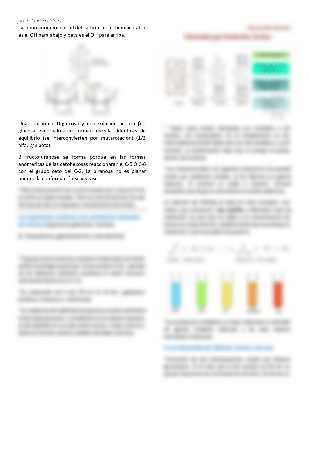 Bioquimica Ex.3 JC.pdf_dxl6dp3hfpp_page2