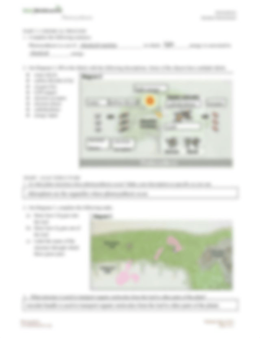 jupiter_hernandez_-_Photosynthesis_Animation_Worksheet.pdf_dxl7jcn2wyb_page2