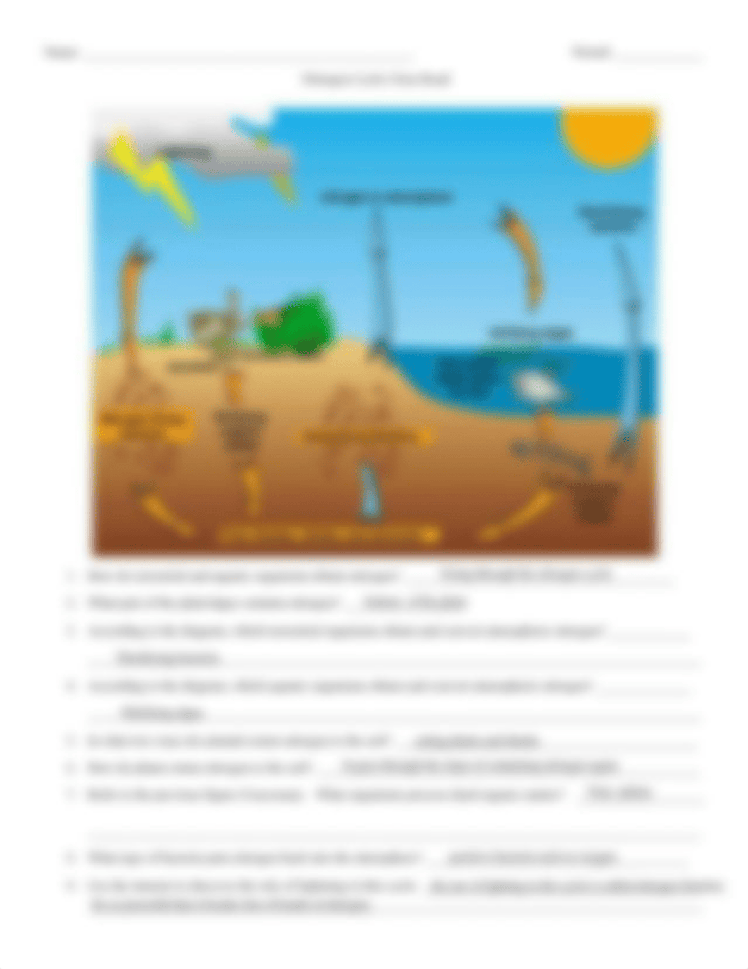 Josue Vazquez Aguilar - 2.4d Nitrogen Cycle Diagrams.pdf_dxl8ai773lf_page2