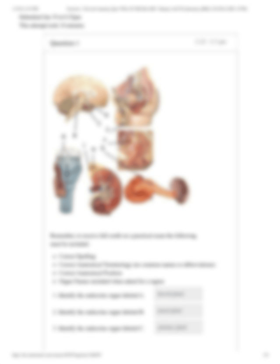 Exercise 1_ Pre-Lab Anatomy Quiz _FILL IN THE BLANK__ Human A & P II Laboratory (BIOL-254-WA2 CRN_ 2_dxld2l7jtn5_page2