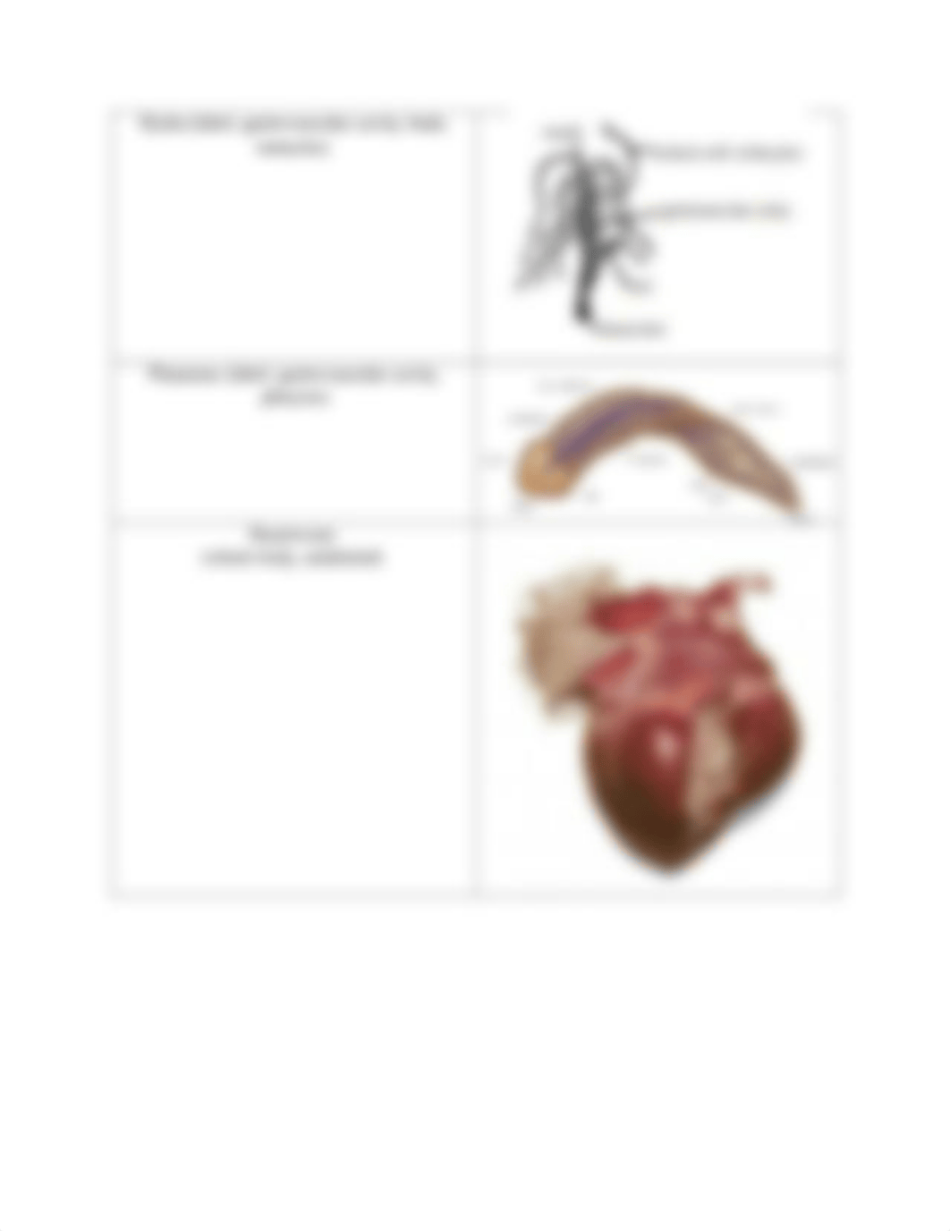 Lab 11.pdf_dxlddts6faq_page3