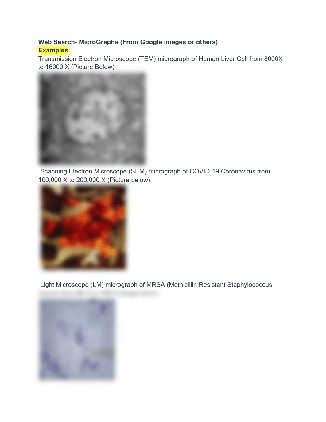 Light & Electron Mircograph (1).pdf_dxljxmab3dc_page1