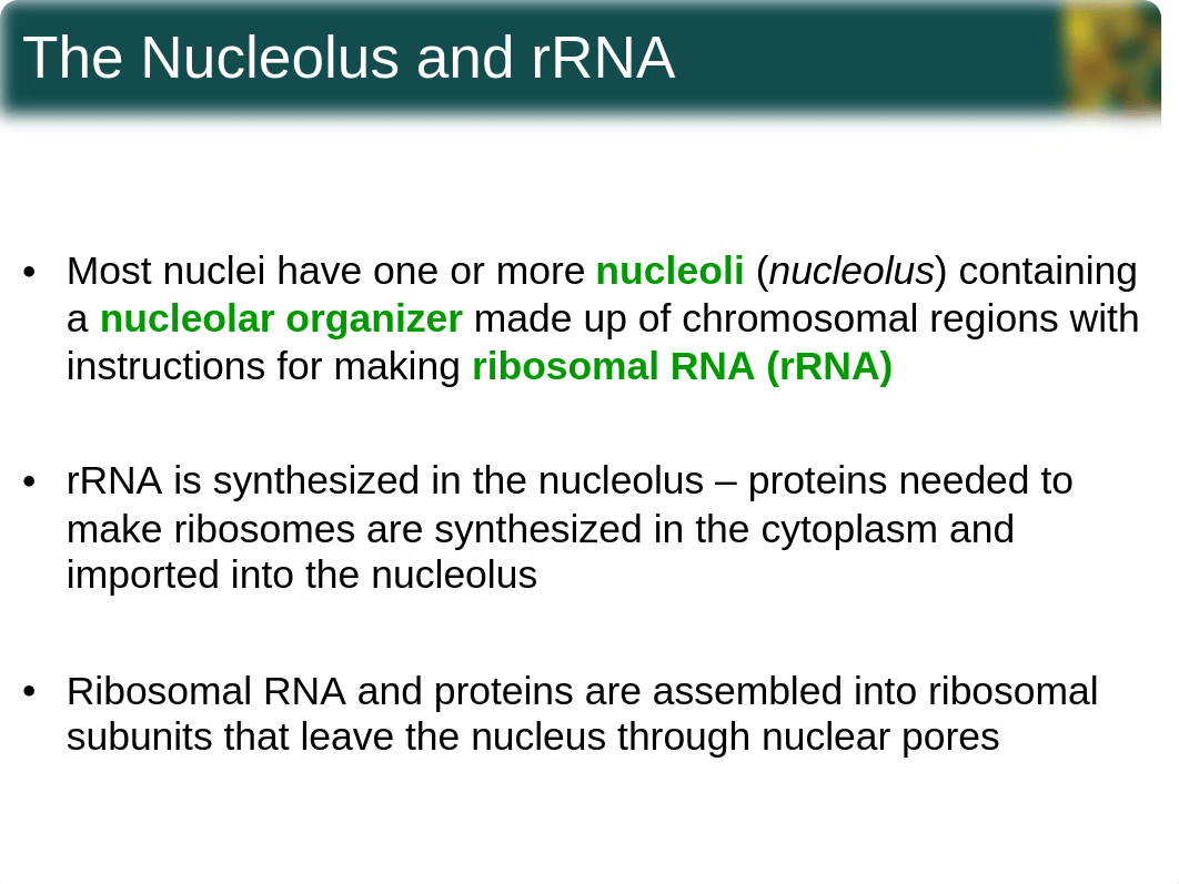 chapter4_sections4-5 Spring 2014 Supplemental Notes.ppt_dxln0tcb6u0_page5