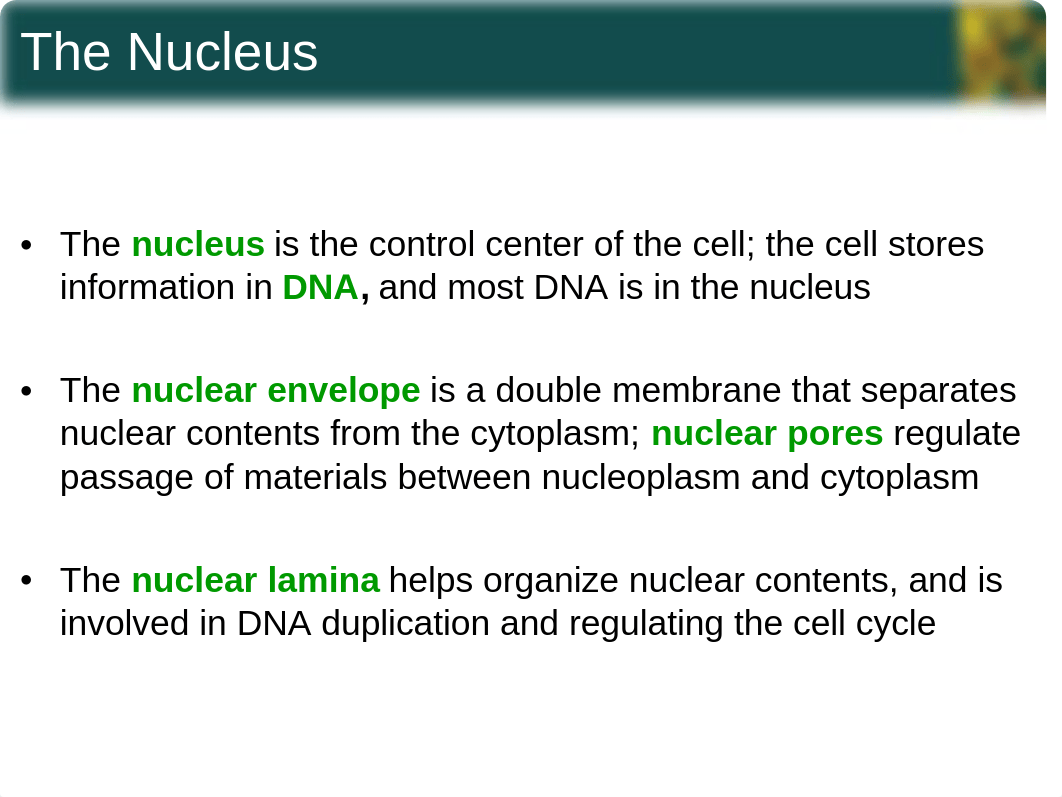 chapter4_sections4-5 Spring 2014 Supplemental Notes.ppt_dxln0tcb6u0_page2