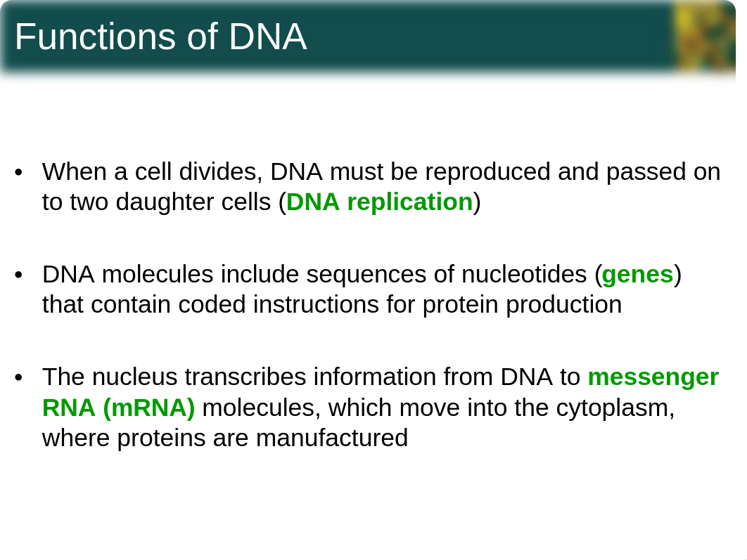 chapter4_sections4-5 Spring 2014 Supplemental Notes.ppt_dxln0tcb6u0_page3