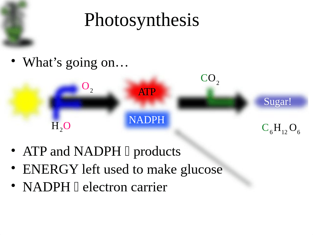 Gen Bio Ch10 notes.pptx_dxltl84inww_page5