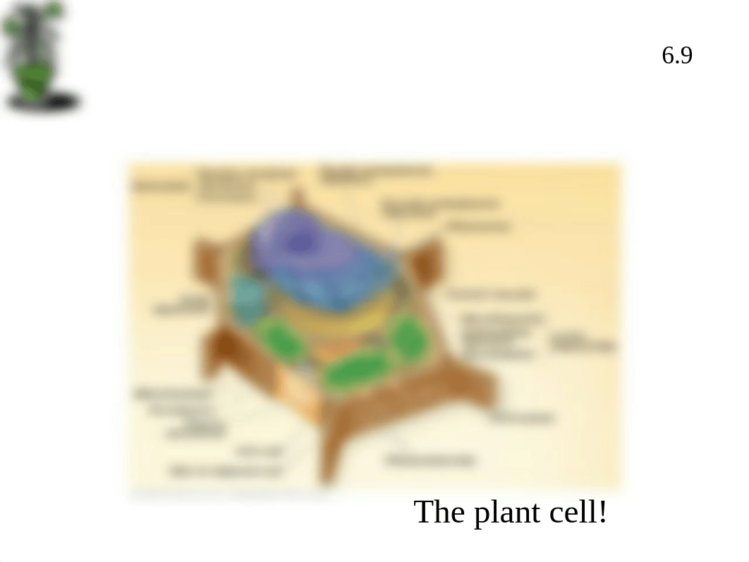 Gen Bio Ch10 notes.pptx_dxltl84inww_page3