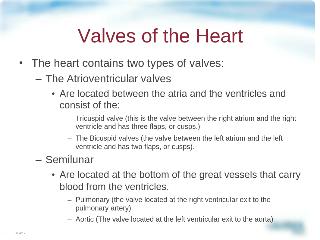 Chapter 11 PPTs slides 1-15 adobe.pdf_dxlykcb411x_page5