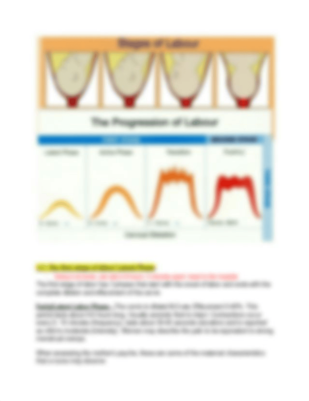 OB WEEK 4 QUIZ 4 .pdf_dxm1xogzfbo_page3