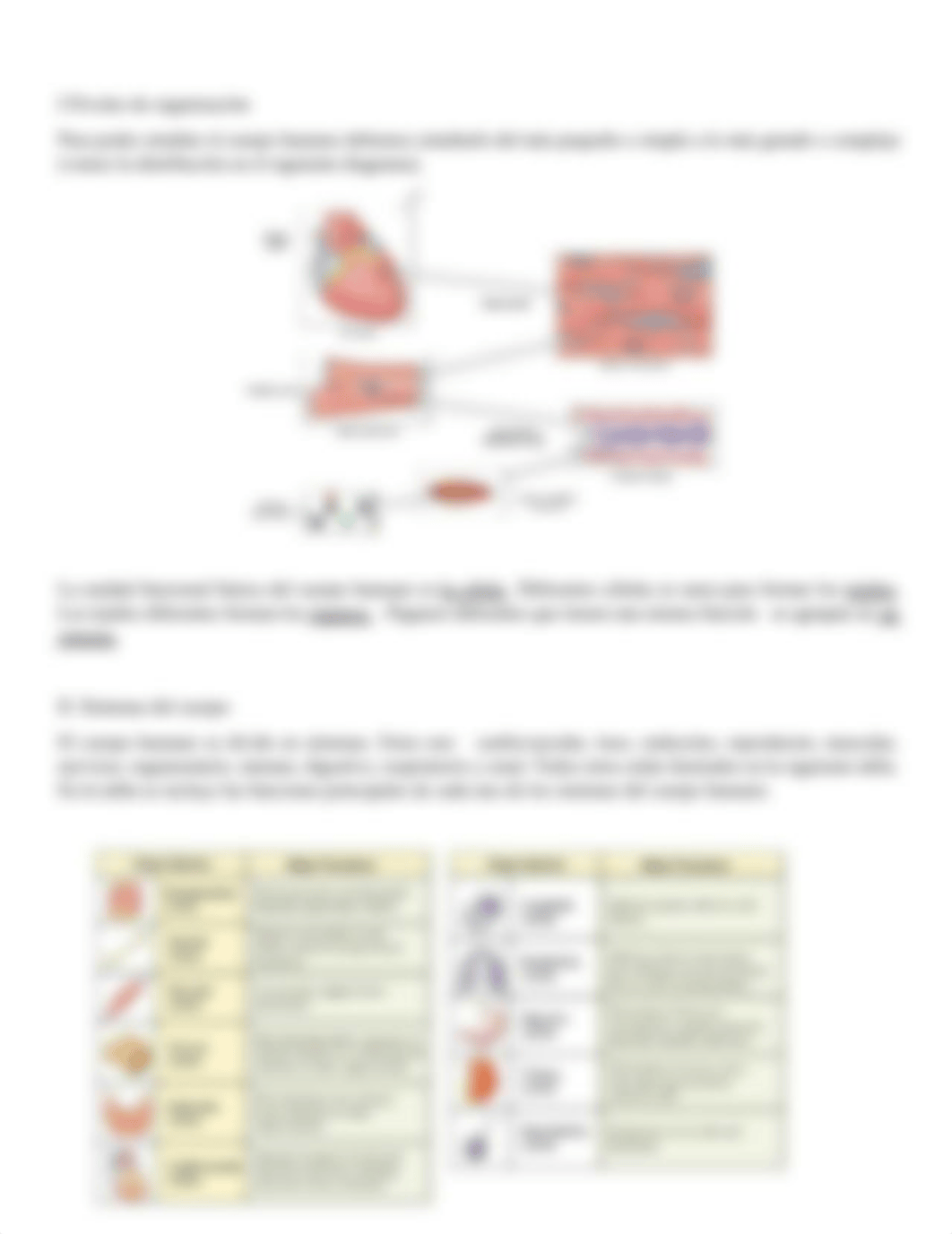 Laboratorio 1 part 1.pdf_dxm4cjqz2aq_page2