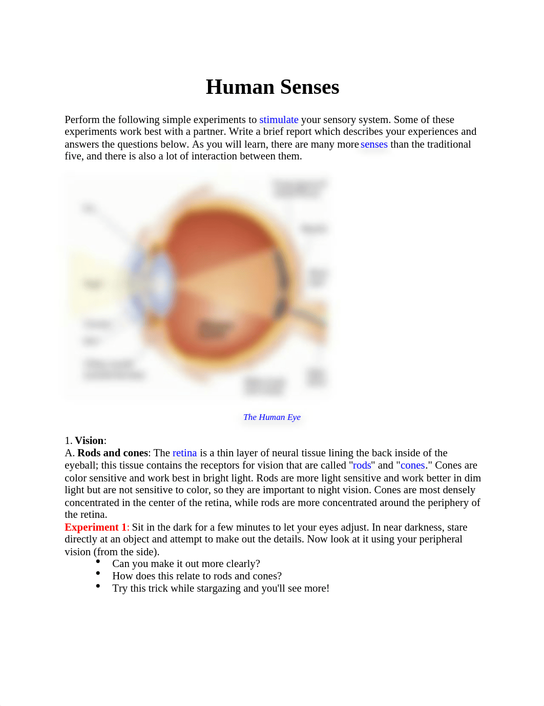 Human Senses Activities 2.docx_dxm6fr22xrv_page1